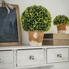 Faux Potted Boxwood - Castle Home Interiors