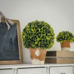 Faux Potted Boxwood - Castle Home Interiors